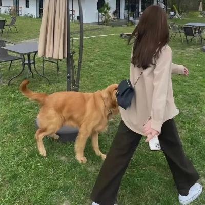 孝义女郎